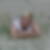 Profilbild von Gabriele Wilger