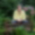 Profilbild von Bärbel Wolfram