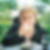 Profilbild von Nadine Noll