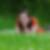 Profilbild von Sabine Hammer