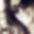 Profilbild von Astrid Breuch