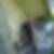 Profilbild von Oliver Dresen
