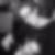 Profilbild von Jeanette Johannes