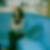 Profilbild von Andrea Schultes