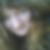 Profilbild von Katja Schwarz