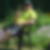 Profilbild von Oliver Hoog