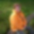 Profilbild von Ingird Schramm