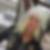 Profilbild von Jacky Balla