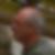 Profilbild von Ferdinand Chamoni