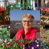 Profilfoto von Karin Herbst