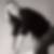 Profilbild von Imke Hoernchen