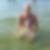 Profilbild von Sascha Mager