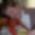 Profilbild von Matthias Heinz