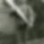 Profilbild von Alfred Pretsch