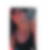 Profilbild von Claudia Falch