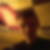 Profilbild von Frank von Fintel