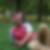 Profilbild von Thomas Boettger