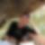 Profilbild von Christine Beulshausen
