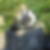 Profilbild von Michael Retzlaff