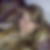 Profilbild von Susanne Anders-Augustin