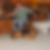 Profilbild von Peter Bell