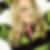 Profilbild von Andrea Weil