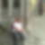 Profilbild von Bettina Sommer