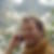 Profilbild von Michael Stammler