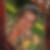 Profilbild von Rosemarie Gabriel