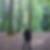 Profilbild von Kirstin Stille-Witt