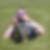 Profilbild von Holger Kliemand