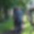 Profilbild von Frank Decker