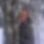 Profilbild von Michaela Ackermann