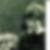 Profilbild von Barbara Butz-Mallebrein