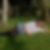 Profilbild von Janine Bornemann