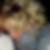 Profilbild von Evelyn Schaarschmidt