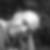 Profilbild von Jean Muschner