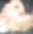 Profilbild von Juliane Basche