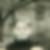 Profilbild von Christoph Thomas