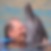 Profilbild von Peter Siegert