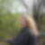 Profilbild von Susan Hagedorn