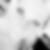 Profilbild von Julie Pardon