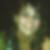 Profilbild von Fabienne Mochow