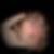Profilbild von Nico Rohlfs