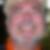 Profilbild von Helmut Strohmeier