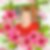 Profilbild von Renate Frech