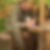Profilbild von Detlef Forker