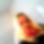 Profilbild von Melanie Fuldner