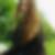 Profilbild von Sabine Habedank
