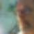 Profilbild von Frank Ruprecht